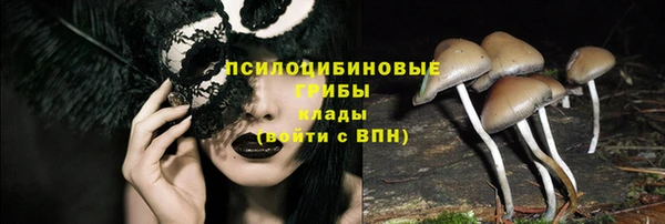стаф Верхний Тагил