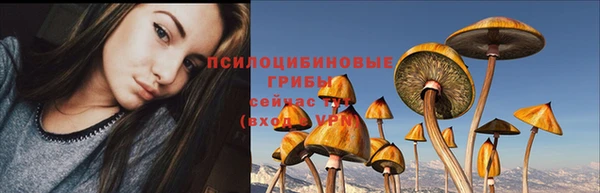 стаф Верхний Тагил