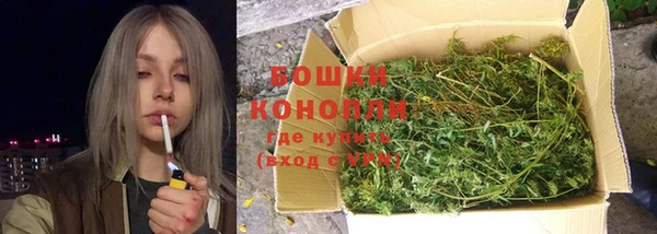 стаф Верхний Тагил