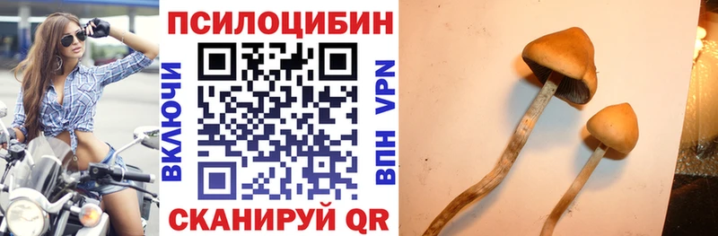 Псилоцибиновые грибы Psilocybe  MEGA   Медногорск 
